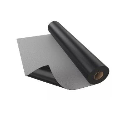 Membrana Protan SE 2mx20m