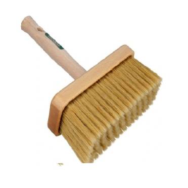 Ławkowiec lakierowany